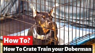 How to Crate Train your Doberman puppy? Doberman Training Tips
