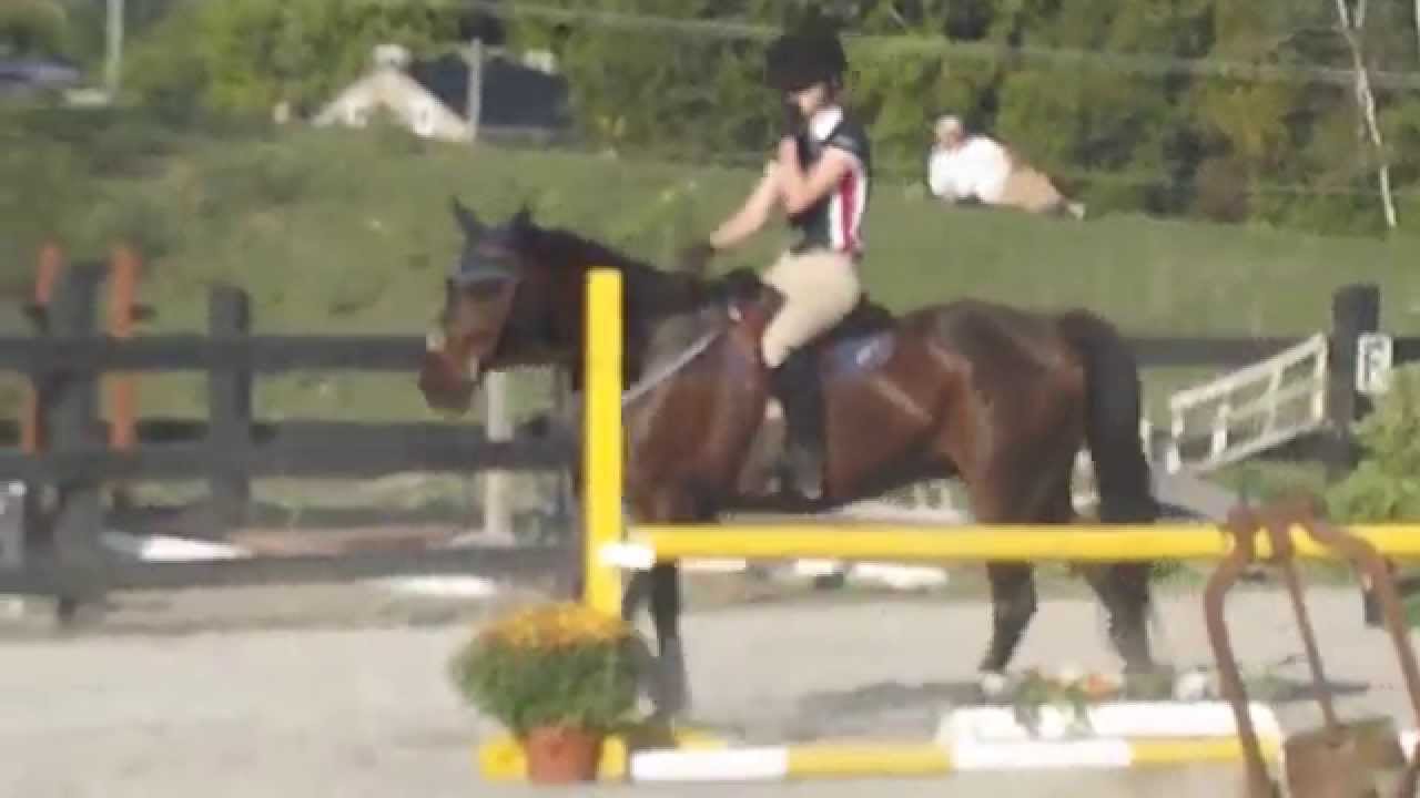 Special Edition - KHJA 0.90m Immediate Jump Off @ Stillbrook Riding Stables