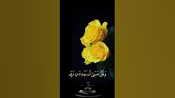 صباح الخير💛اجمل حالات واتساب مقاطع قصيره💛قران كريم سورة الكهف واذكر ربك إذا نسيت💛المنشاوي بدون حقوق