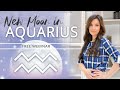 New Moon in Aquarius - Free Webinar