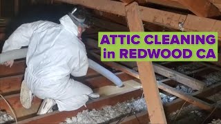 Attic Cleaning in Redwood City CA