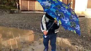朝、水たまりで遊ぶ2歳 長靴　保育園行きたくない　雨降ってないのに傘さす　umbrella　Boots　Zhǎngxuē　伞　两岁