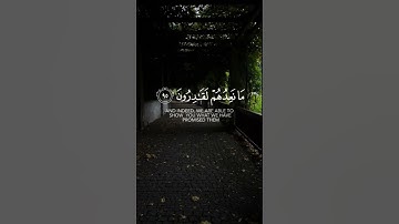 ﴿ قُل رَّبِّ إِمَّا تُرِيَنِّي مَا يُوعَدُونَ﴾#سورة_المؤمنون #عبدالله_الموسى #الحمدلله#اكسبلور