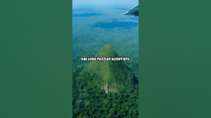 Secrets of Cerro El Cono: The Hidden Wonders of the Amazon Rainforest!