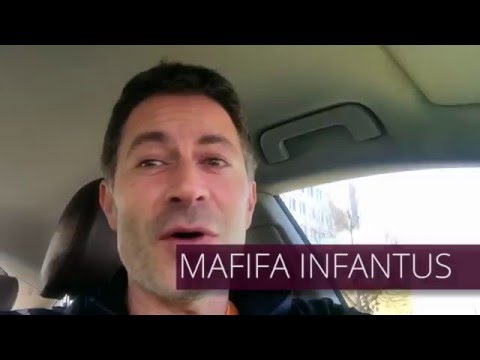 MAFIFA INFANTUS