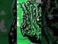 green and black colour mixing #shorts