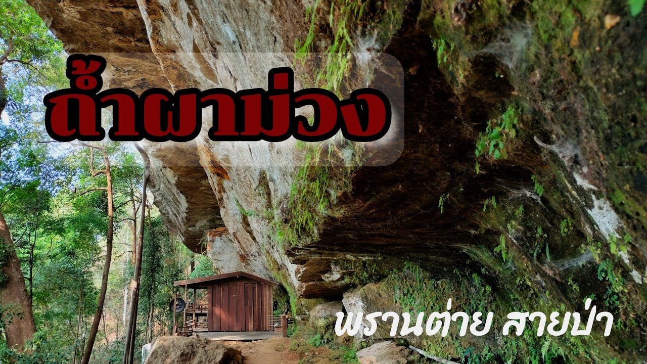 ถ้าผาม่วงเทือกเขาภูพาน อ.ดงหลวง จ.มุกดาหาร