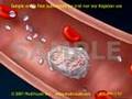 Clot formation and clot breakdown 2d medical animation