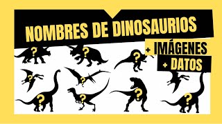 ✓ LOS MEJORES NOMBRES DE DINOSAURIOS en español 🦖Con Imágenes y Datos😱 *MÍRALO*