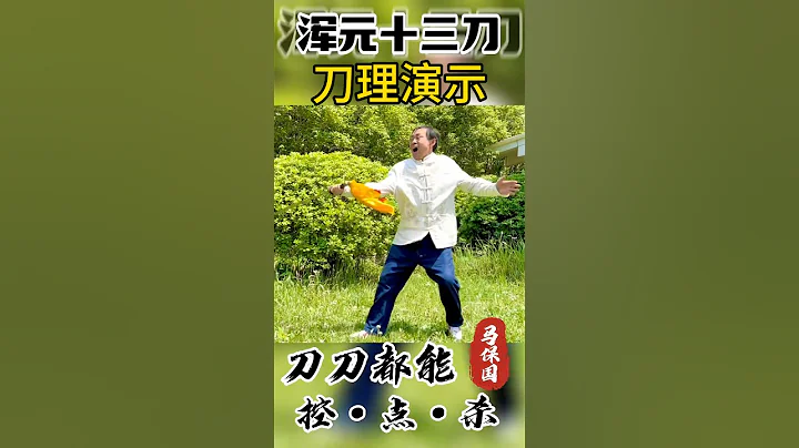 馬老師演示渾元十三刀|刀刀都有控·點·殺#馬保國 #馬保國 #中國功夫 #渾元十三刀 #生活 #武術 #功夫 #生活 #高手 #健身 #kungfu - 天天要聞