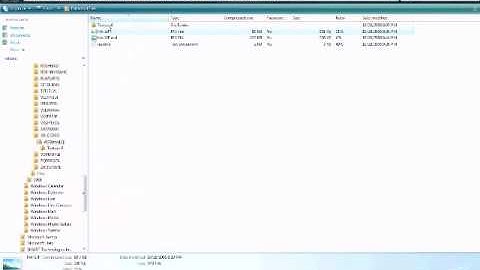 How to Add New Airplane Paints onto FSX. *Voiceover Tutorial*