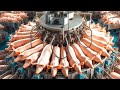 Million of pigs raising farm  modern pork deboning factory  sausage processing line  technology