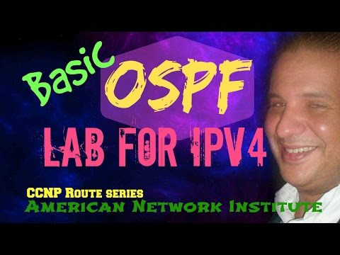 Basic OSPF for IPV4