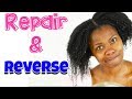 How To Repair Heat Damaged Natural Hair Without Cutting It !