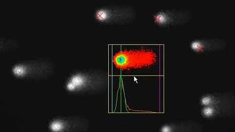 Comet Assay Live Scoring