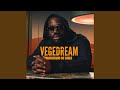 La fuite vegedream x dj leska edit mix mp3