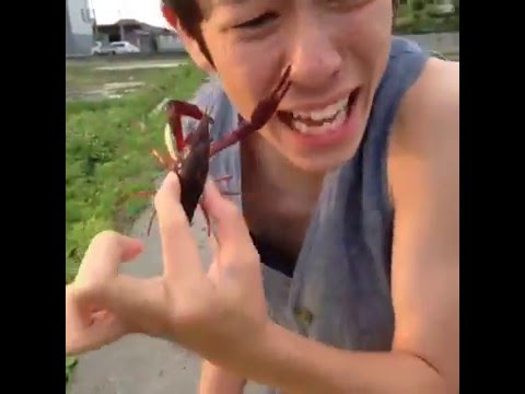 camera iphone 8 plus apk WTF Is This? - Vine