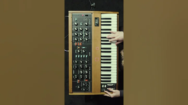 Part 3 🧙‍♂️| #moog #minimoog #synth #synthesizer #electronicmusic #acid #gear #studio