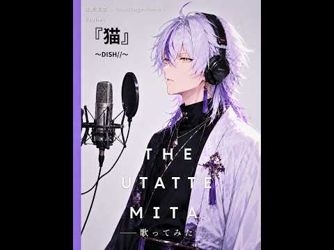 【歌ってみた】猫 / //DISH covered by 月影紫兎