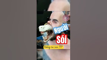 người sói trong truyền thuyết ư ?? #toanbietgi #short #shortsvideo