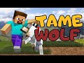 How to Tame a Wolf in Minecraft | Minecraft Tutorial (2025)