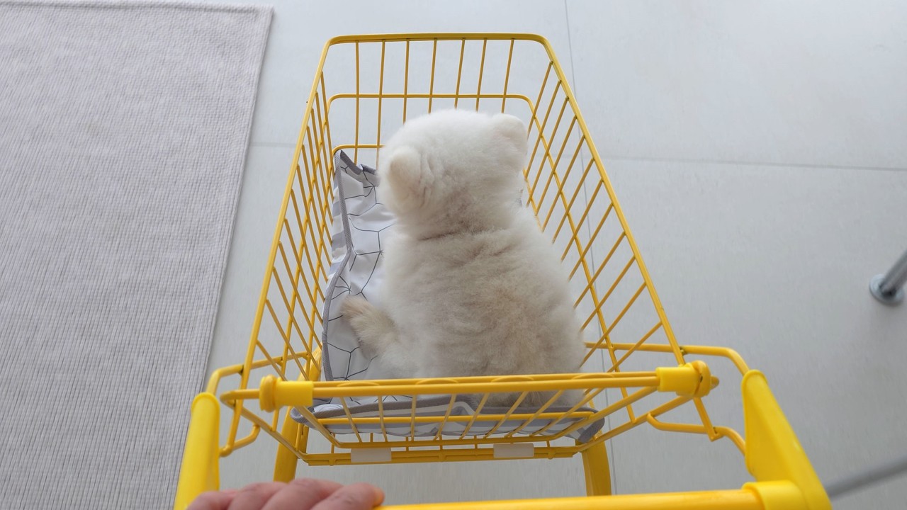 Мама-ютубер-домохозяйка? Радостный день с нашим деревенским щенком [RuPong Daily V-LOG]