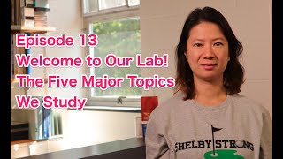 Episode 13: Welcome to Our Lab – The Five Major Topics We Study