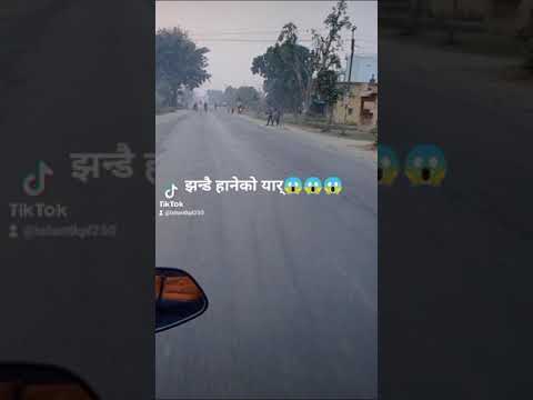 pipara kapilvastu