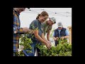 Sheridan County Ag Update with Mae Smith and Jordan Carroll from Sheridan College