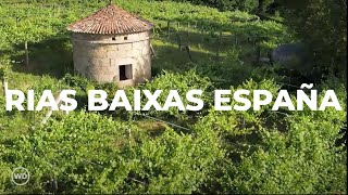 Explorando El Hogar Del Vino Albariño