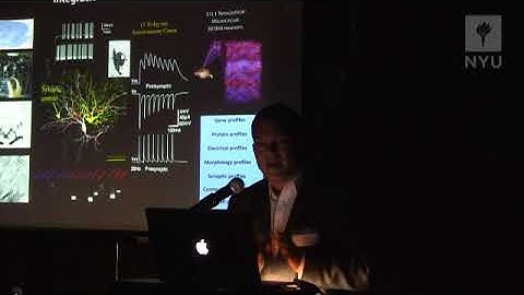 An Overview of the Human Brain Project