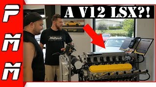 Exploring Haltech USA! This place is awesome! A V12 LSX Engine?!