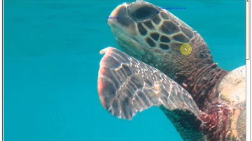 I3S Pattern annotation tutorial