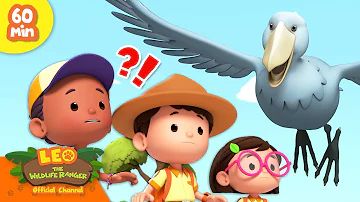 🦚 LARGEST BIRDS! 🦉 Storks, Pheasants, Emu & more! 🦃 | Leo the Wildlife Ranger | Kids Cartoons