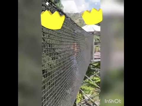 #дримвуд - YouTube