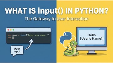 Python input() Function Explained | Python for Beginners