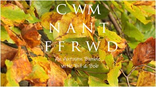 Cwm Nant Ffrwd Bimble  - Location Quickie