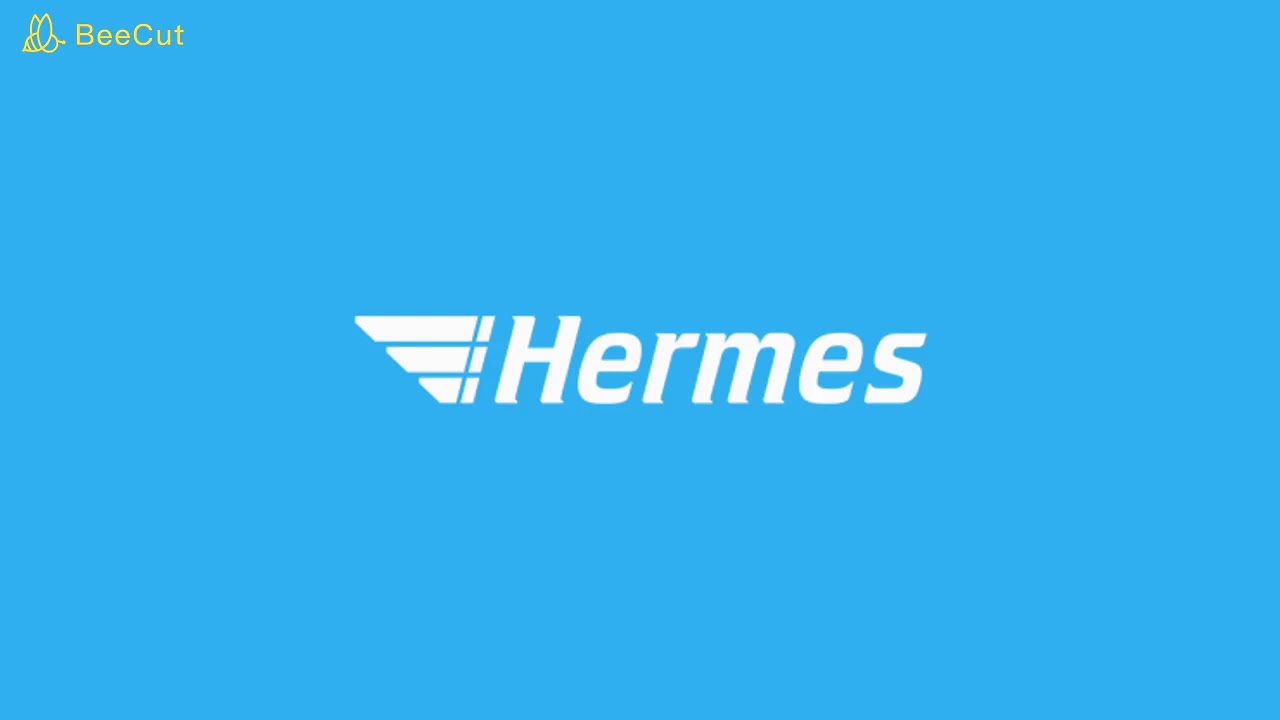 Hermes Вайлдберриз