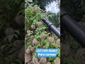 продаётся шикарный дом  15 минут от центра риги