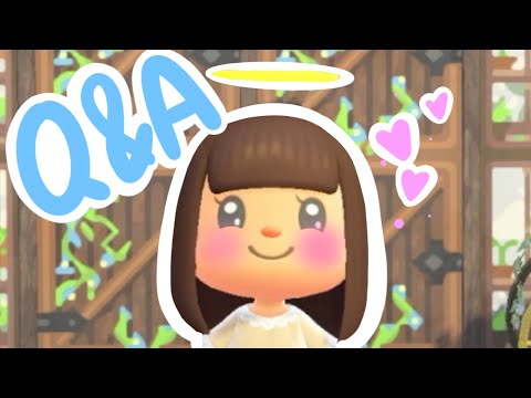 Q&A | ask me questions!