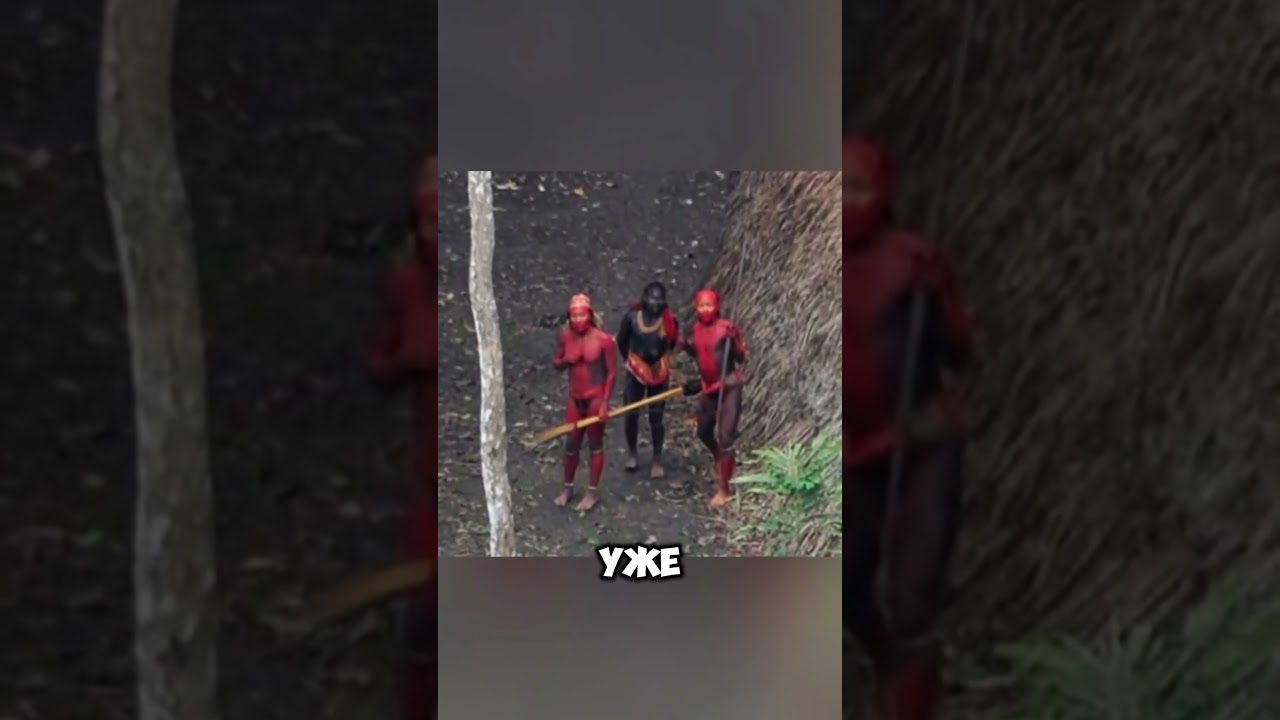 Сентинельский остров —место, где остановилось время 