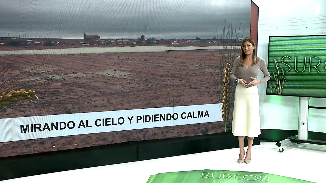 T17/E21: El campo tiene que adaptarse a los condicionantes meteorológicas del año.