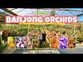 Amazing talk with ben master orchid grower and owner of banjong orchids great orchid care tips