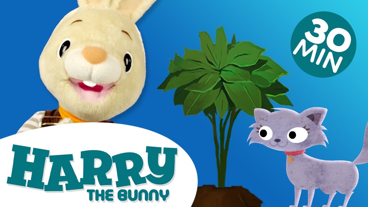 Learning for Children - Understanding Pairs with Harry the Bunny ...