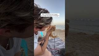Lapins à la plage 🏖️ 🐰#plage #lapin #copain #protecteur #protection #summer #viral #tiktok
