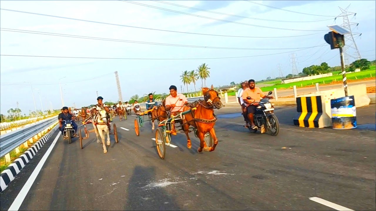 THIRUVALLUR HORSE RACE
