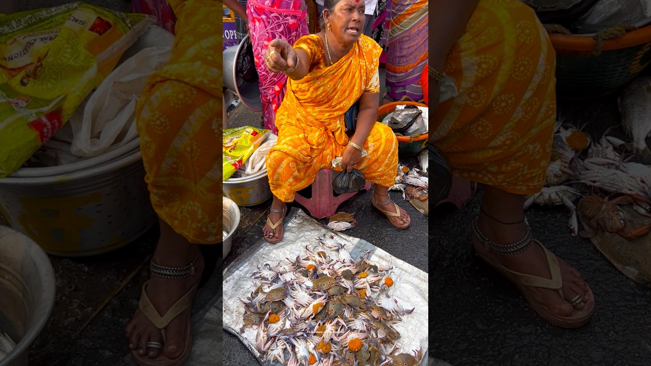 KASIMEDU FISH MARKET LIVE SALE FRESH FISH 🐟 VIDEO FISHERMAN ENTERTAINMENT 