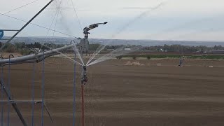 Idaho Declares Drought Emergency Across All 44 Counties