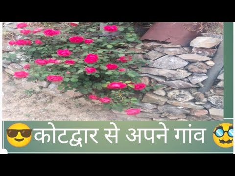 👌कोटद्वार से अपने गांव #devboomi #uttarakhand #laxman #vlog ❤️