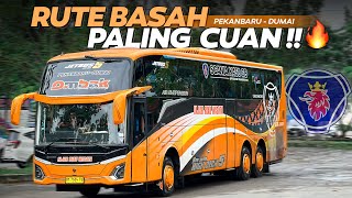 RUTE BUS PALING CUAN MAKSIMAL 🤑‼️ Penumpang Selalu Penuh | Trip Fajar Riau Wisata Pekanbaru - Dumai RUTE BUS PALING CUAN MAKSIMAL 🤑‼️ Penumpang Selalu Penuh | Trip Fajar Riau Wisata Pekanbaru - Dumai
